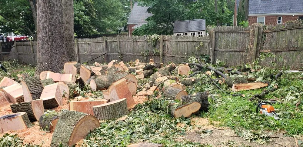 Local outdoor landscaping in Lanham, MD - Valencia Landscaping