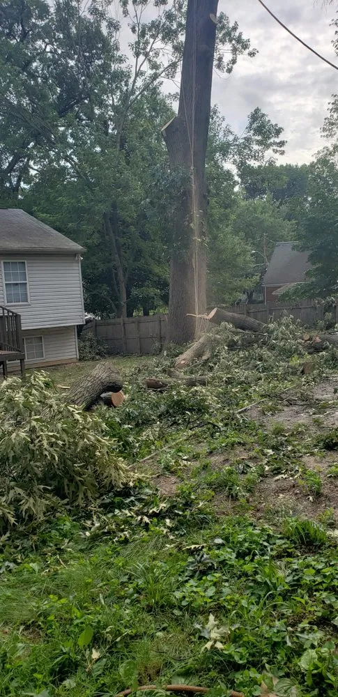 Top-rated yard cleanup service in Lanham, MD by Valencia Landscaping