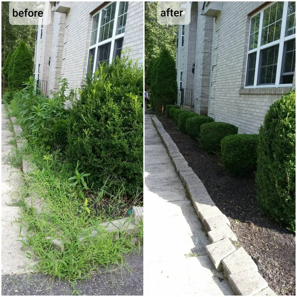 Local garden landscaping for year-round maintenance across Lanham, MD - Valencia Landscaping