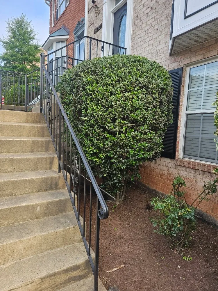 Expert landscape installation with custom design across Sterling, VA - Valencia Landscaping