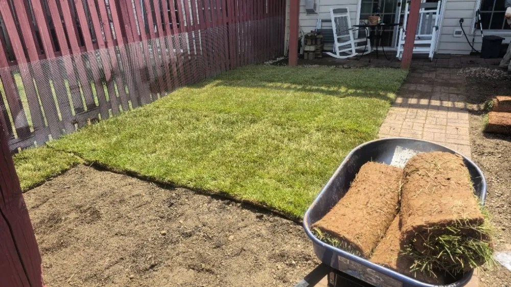 Professional outdoor landscaping for year-round maintenance in Sterling, VA by Valencia Landscaping