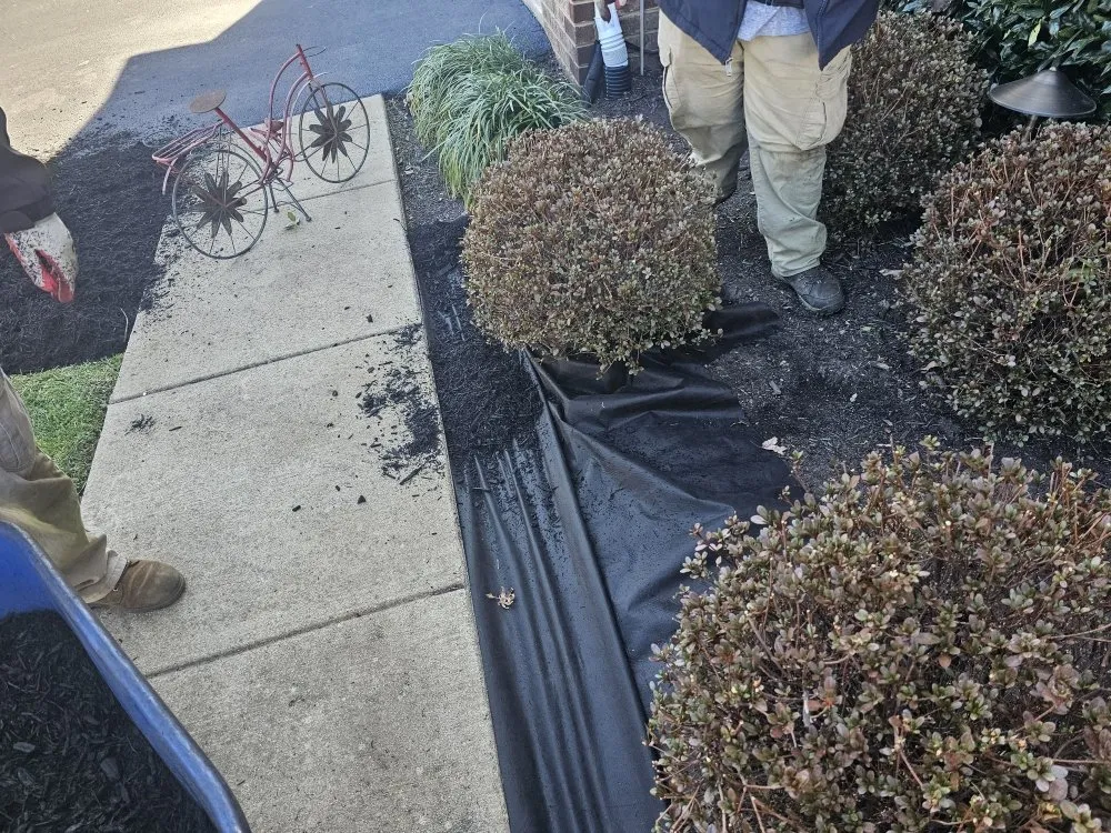 Top-rated lawn care service in Sterling, VA - Valencia Landscaping