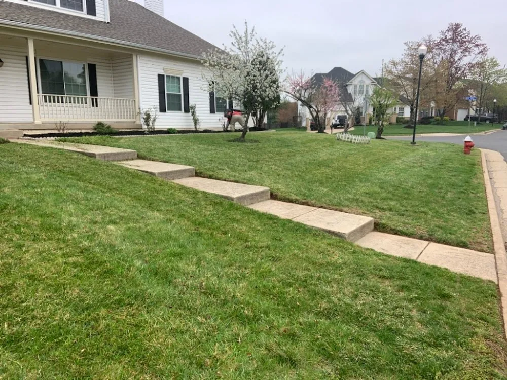 Trusted landscaping services in Sterling, VA - Valencia Landscaping