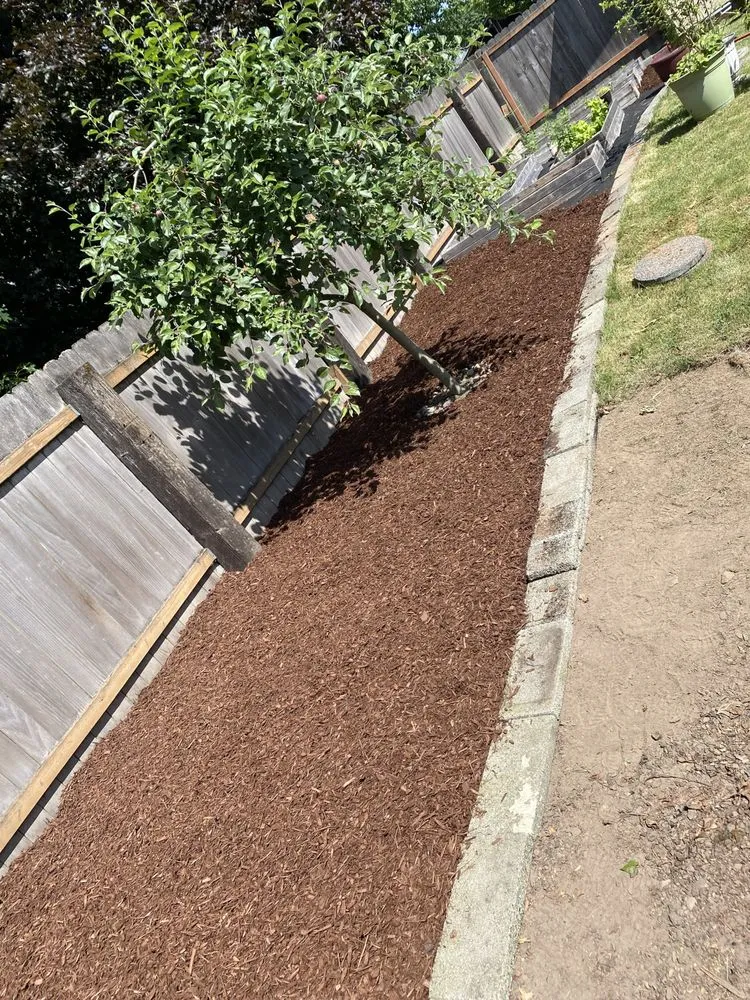 Expert landscaping services for beautiful yards in Kelso, WA by Valencia Lawn Care