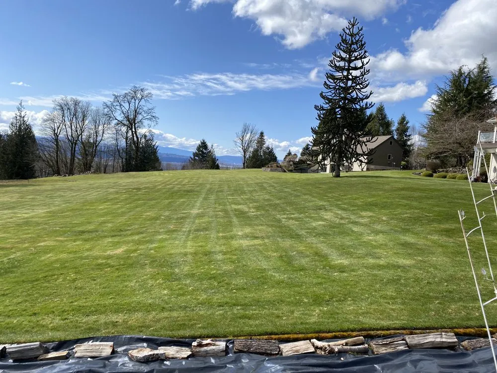 Affordable yard cleanup service experts serving Kelso, WA - Valencia Lawn Care