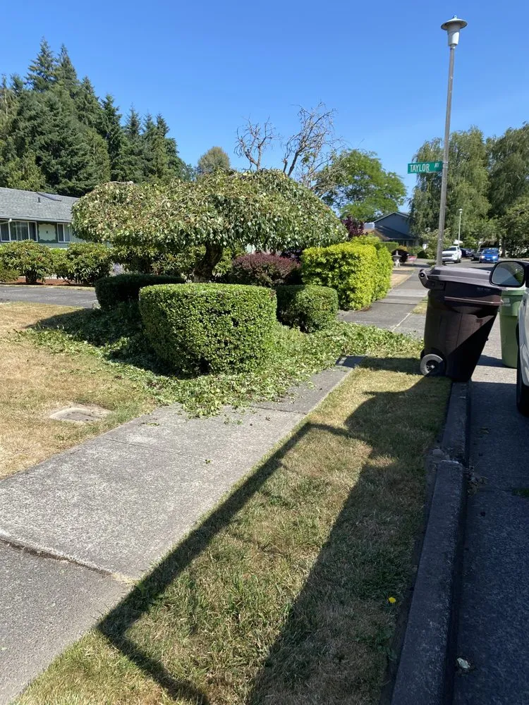 Top-rated lawn care service experts serving Kelso, WA - Valencia Lawn Care