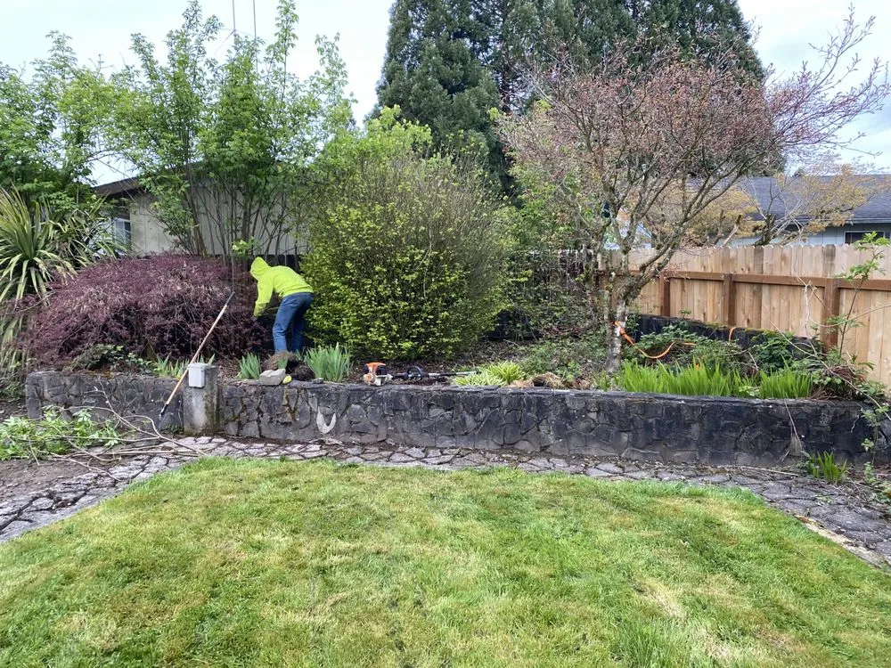 Reliable yard cleanup service experts serving Kelso, WA - Valencia Lawn Care