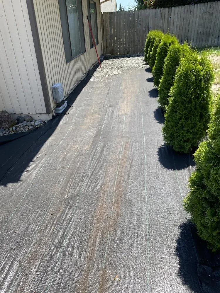 Reliable lawn care service in Kelso, WA - Valencia Lawn Care