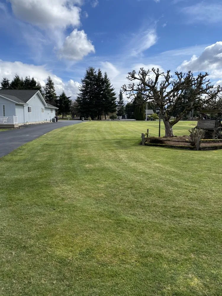Expert lawn care service in Kelso, WA - Valencia Lawn Care