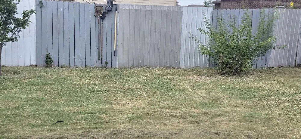 Trusted landscape design with custom design across Manor, TX - Valencia Lawn Care