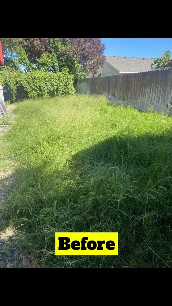 Reliable lawn mowing service for residential properties in West Pasco, WA by Valencia Lawn Care