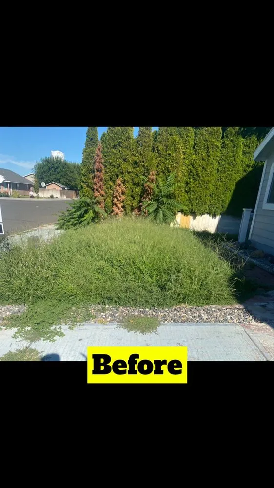 Custom lawn care service for year-round maintenance across West Pasco, WA - Valencia Lawn Care