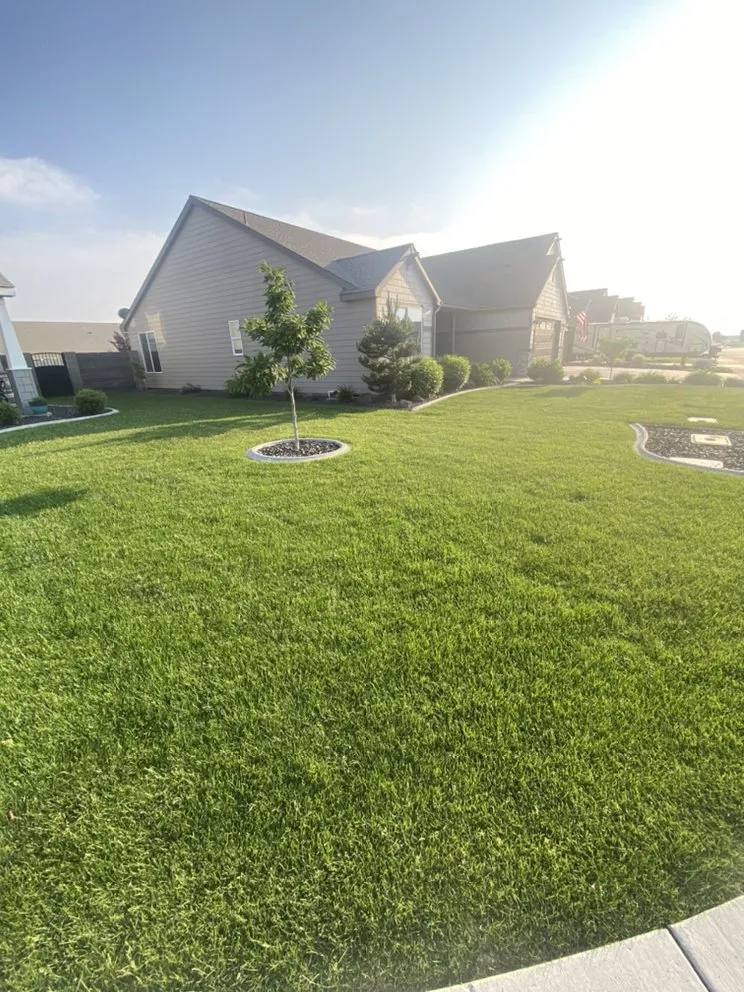 Top-rated residential landscaping in West Pasco, WA by Valencia Lawn Care