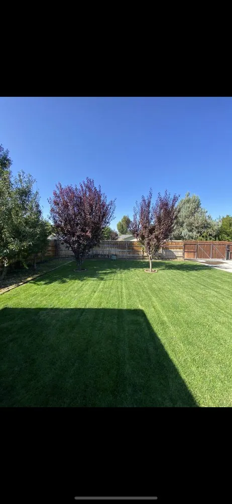 Custom lawn care service experts serving West Pasco, WA - Valencia Lawn Care
