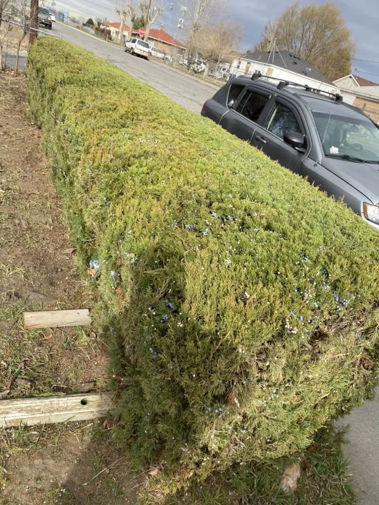 Affordable outdoor landscaping in West Pasco, WA - Valencia Lawn Care