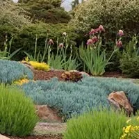 Valencia Torres Landscaping Logo