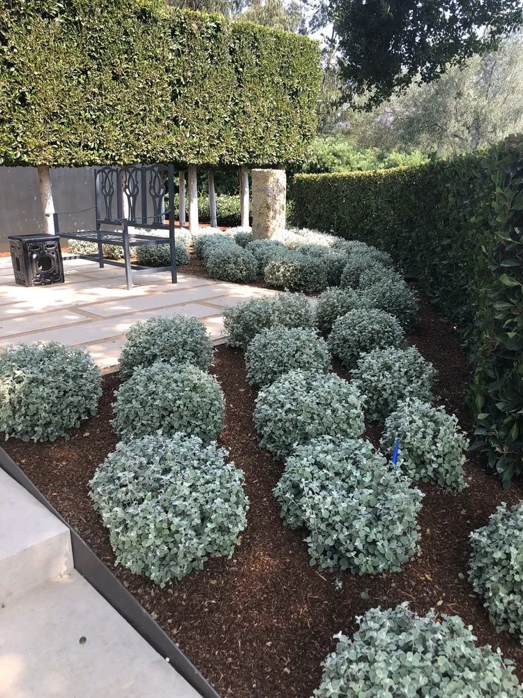 Custom garden landscaping for outdoor upgrades across Santa Barbara, CA - Valencia Tree & Landscape