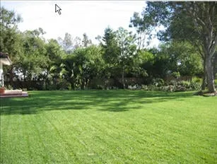 Trusted lawn mowing service in Santa Barbara, CA by Valencia Tree & Landscape