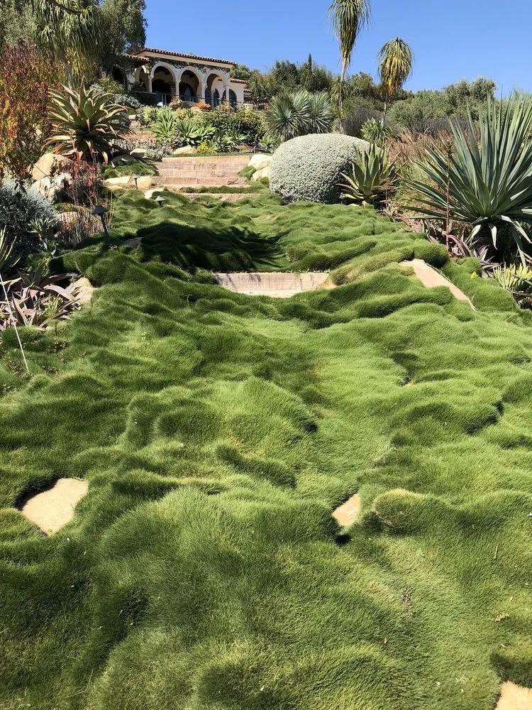 Top-rated landscape installation experts serving Santa Barbara, CA - Valencia Tree & Landscape