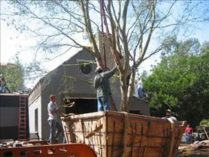 Expert lawn mowing service experts serving Santa Barbara, CA - Valencia Tree & Landscape