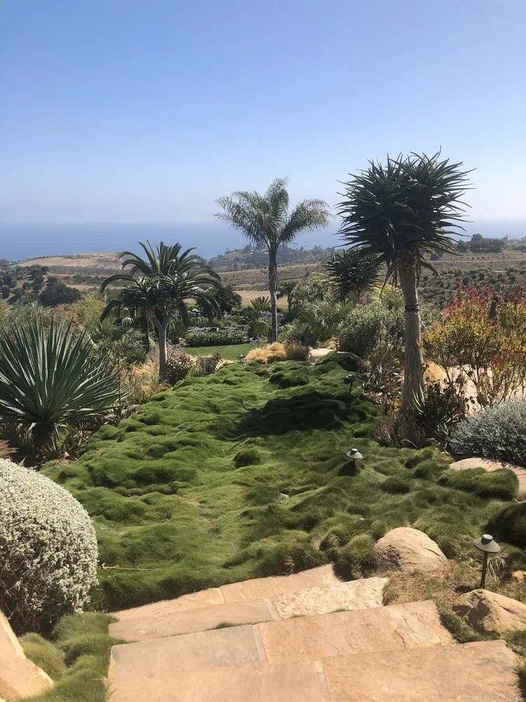 Top-rated landscape design experts serving Santa Barbara, CA - Valencia Tree & Landscape