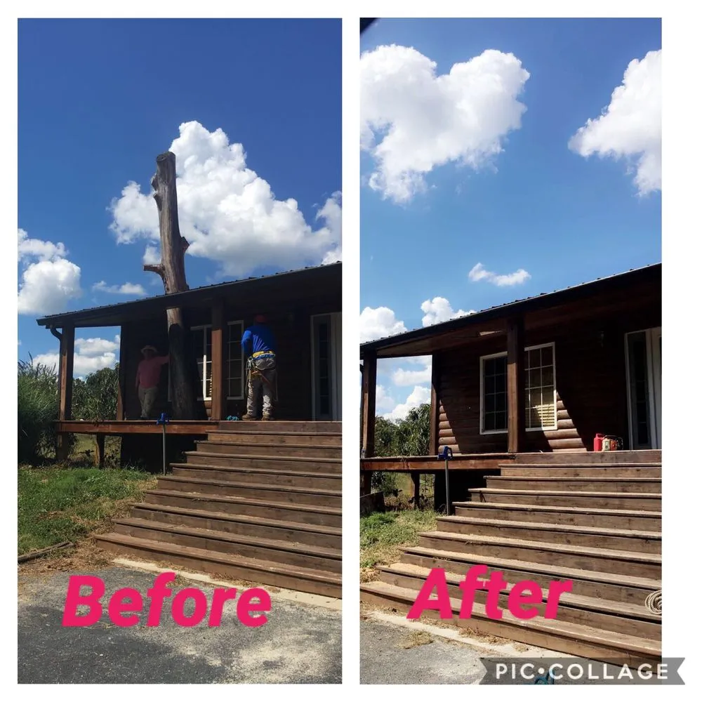 Reliable landscaping services in Lexington, KY by Valencia Tree Services