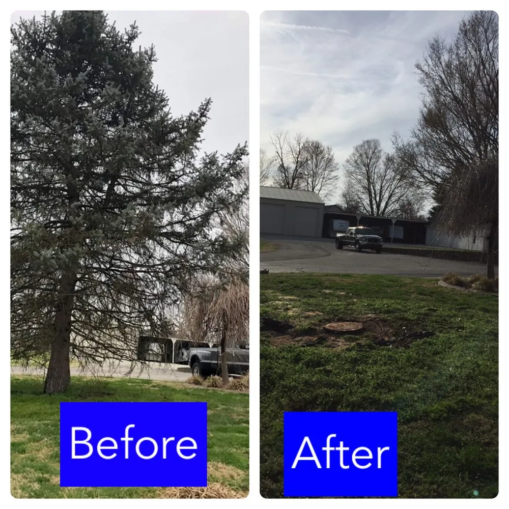 Professional residential landscaping for homes in Lexington, KY by Valencia Tree Services