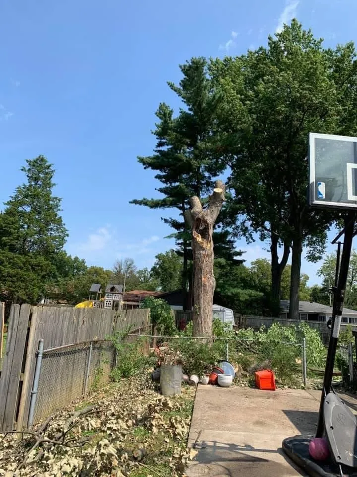 Affordable residential landscaping for homes across Lexington, KY - Valencia Tree Services