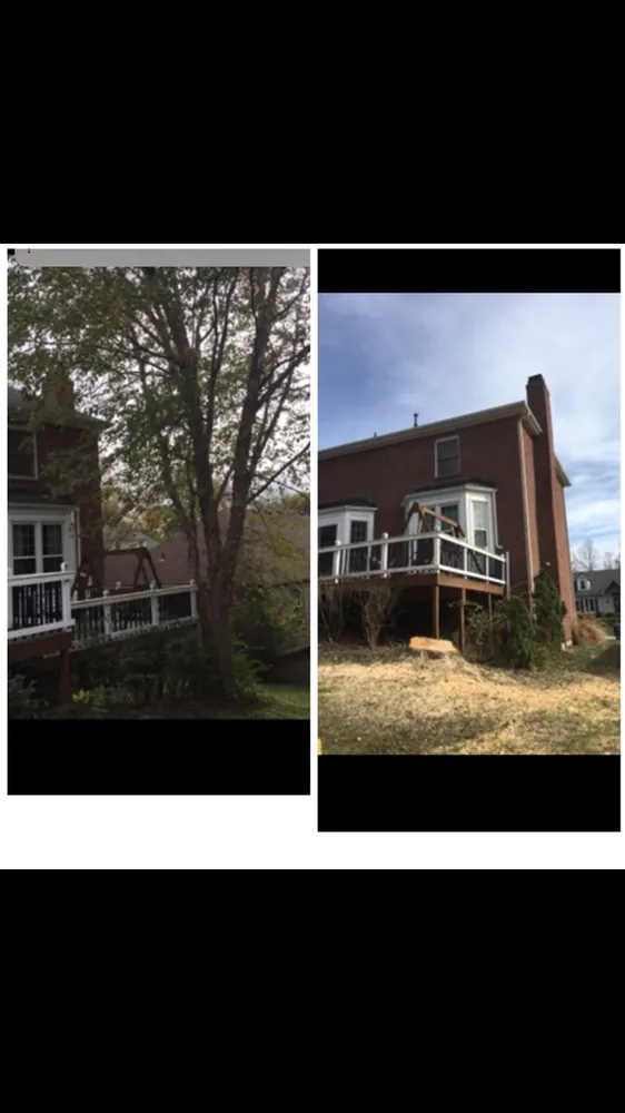 Local yard maintenance experts serving Lexington, KY - Valencia Tree Services