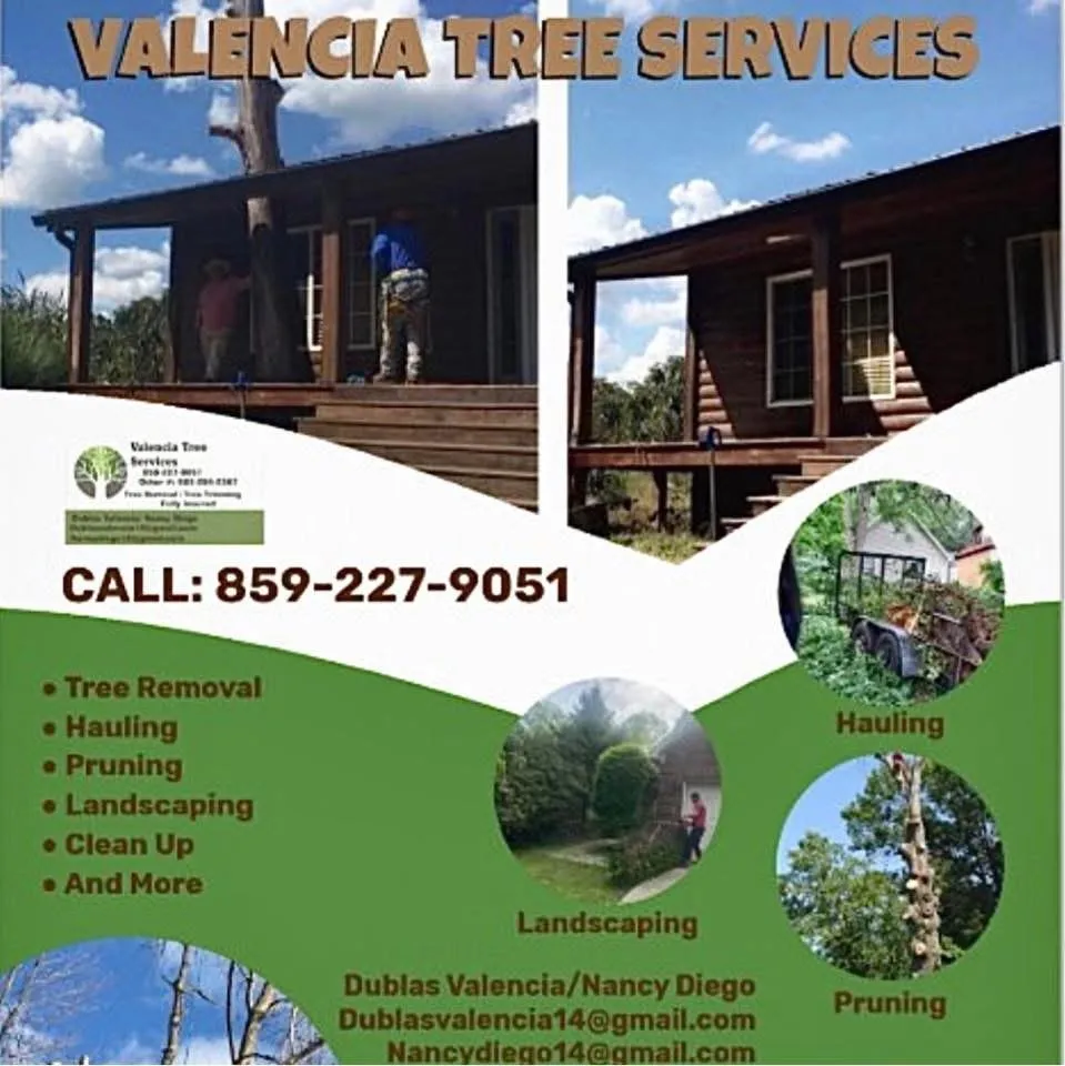 Top-rated garden landscaping in Lexington, KY by Valencia Tree Services
