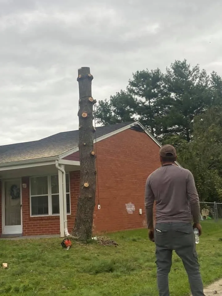 Trusted landscape installation in Lexington, KY - Valencia Tree Services