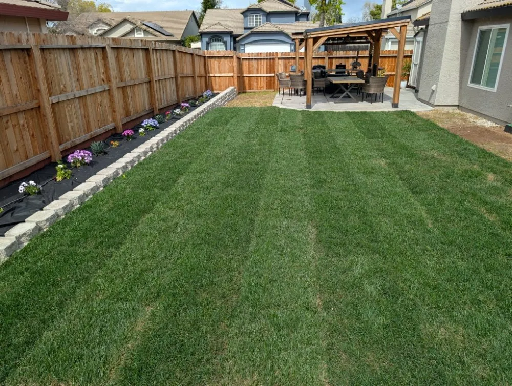 Top-rated lawn mowing service experts serving Auburn, CA - Valencia Yard Maintenance Landscaping