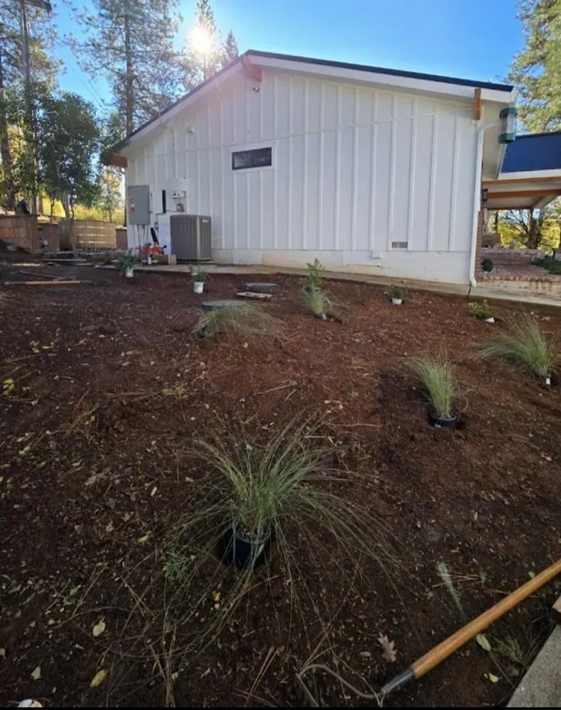 Professional residential landscaping for year-round maintenance in Auburn, CA by Valencia Yard Maintenance Landscaping