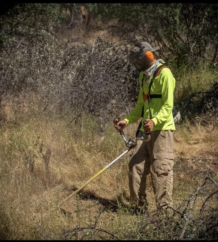 Top-rated residential landscaping experts serving Auburn, CA - Valencia Yard Maintenance Landscaping