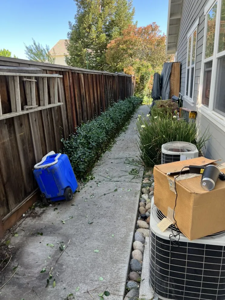 Professional yard cleanup service in Livermore, CA by Valencia's Gardening Service