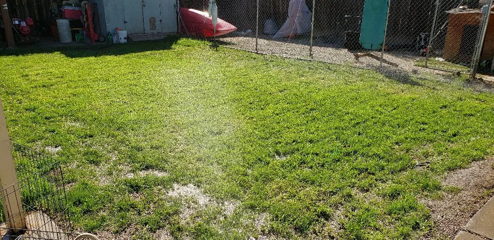 Local landscape installation experts serving Livermore, CA - Valencia's Gardening Service