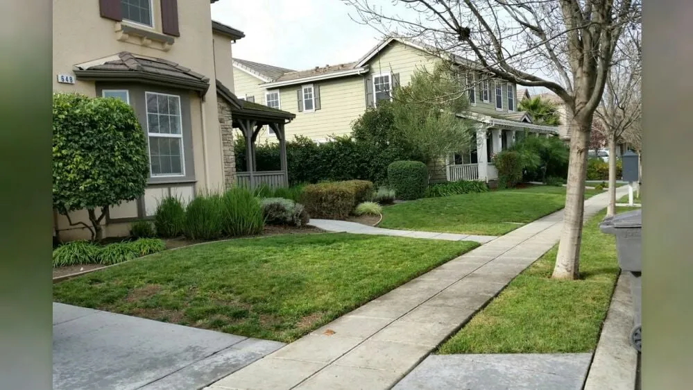 Local yard maintenance for outdoor upgrades in Livermore, CA by Valencia's Gardening Service