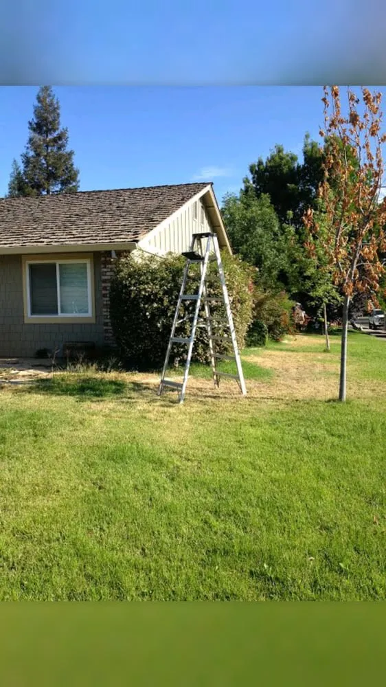 Expert lawn mowing service experts serving Livermore, CA - Valencia's Gardening Service