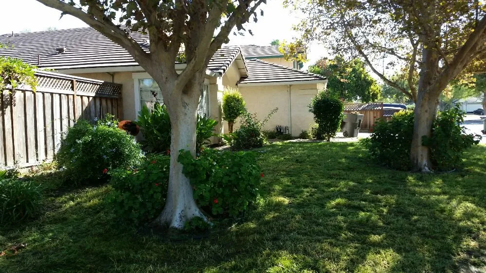 Expert landscape installation for homes across Livermore, CA - Valencia's Gardening Service