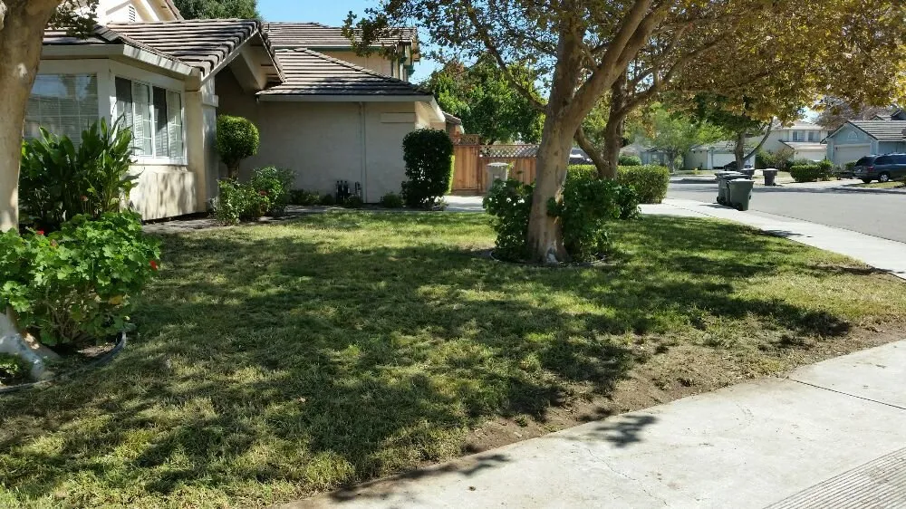 Affordable yard cleanup service for year-round maintenance across Livermore, CA - Valencia's Gardening Service