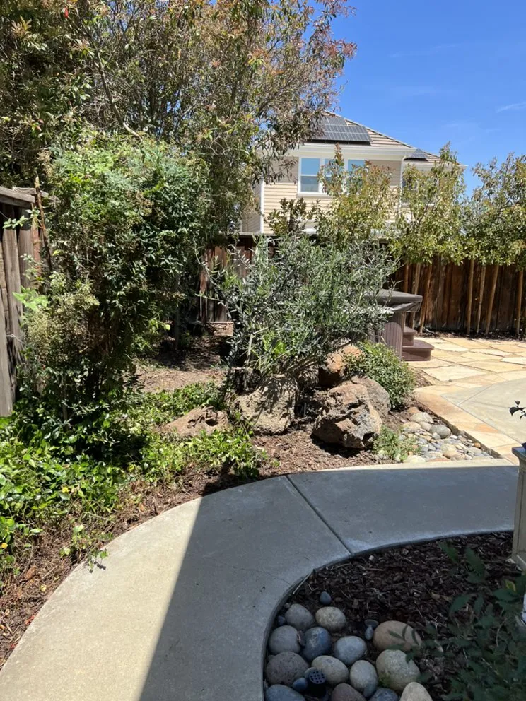 Reliable outdoor landscaping experts serving Livermore, CA - Valencia's Gardening Service