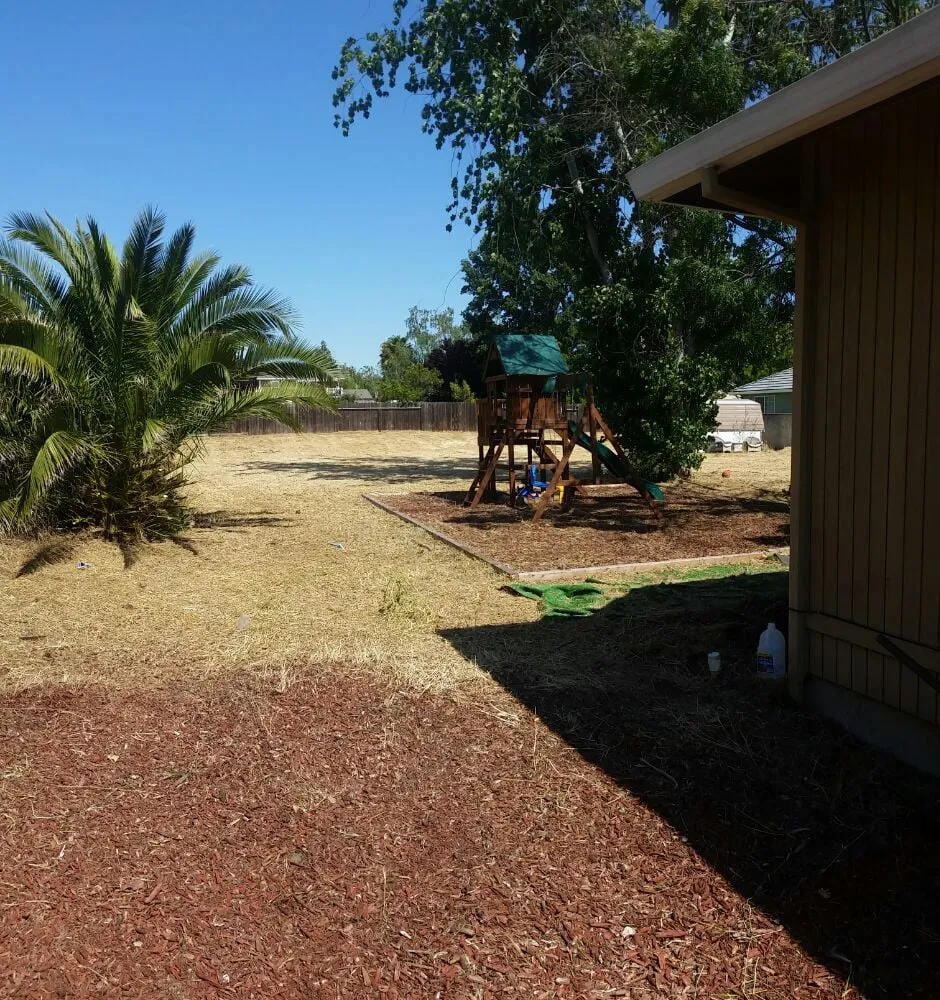 Expert yard cleanup service with custom design in Livermore, CA by Valencia's Gardening Service