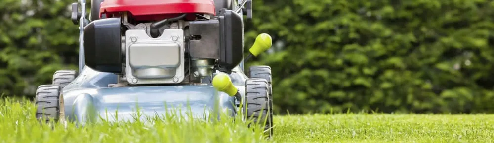 Affordable lawn mowing service experts serving Livermore, CA - Valencia's Gardening Service