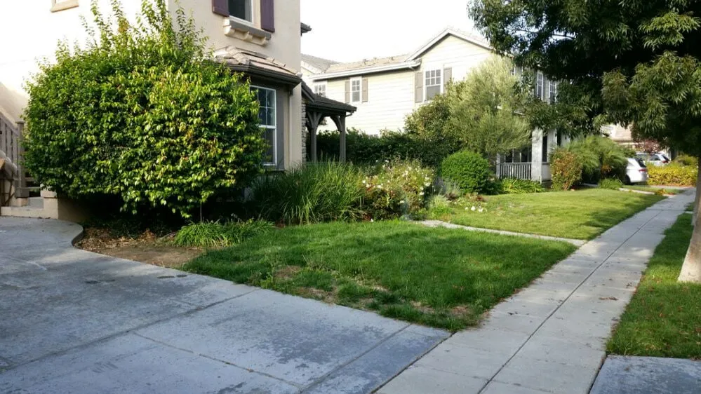 Custom outdoor landscaping experts serving Livermore, CA - Valencia's Gardening Service