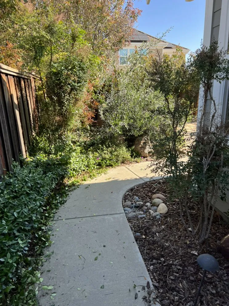 Affordable yard cleanup service experts serving Livermore, CA - Valencia's Gardening Service