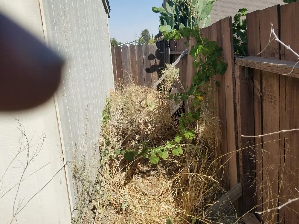 Affordable yard maintenance experts serving Livermore, CA - Valencia's Gardening Service