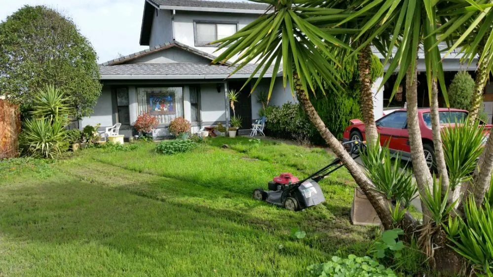 Local landscape design in Livermore, CA - Valencia's Gardening Service