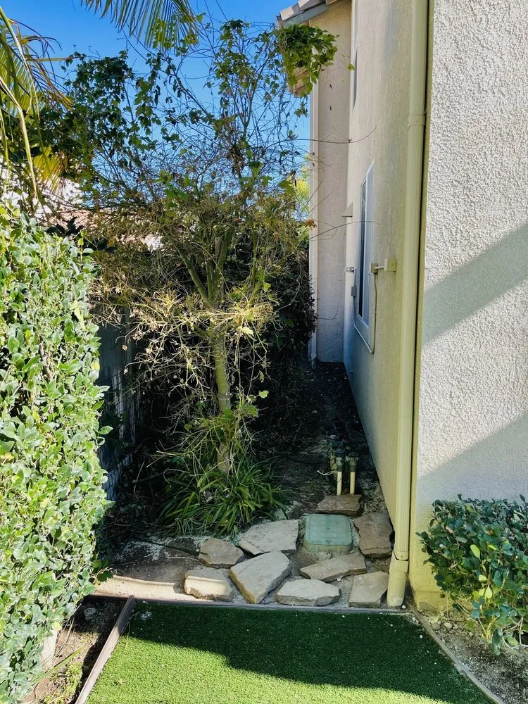 Top-rated outdoor landscaping for outdoor upgrades across Corona, CA - Valencias Landcape Tree