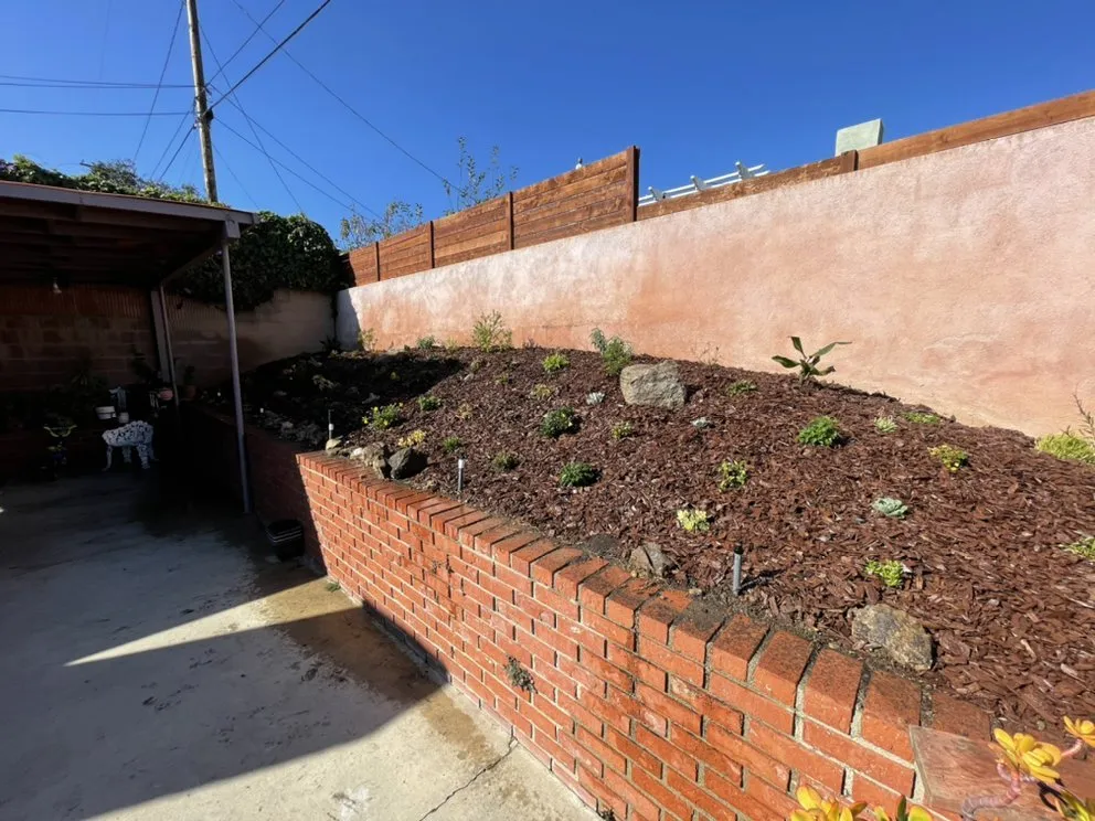 Reliable landscape design in Corona, CA - Valencias Landcape Tree