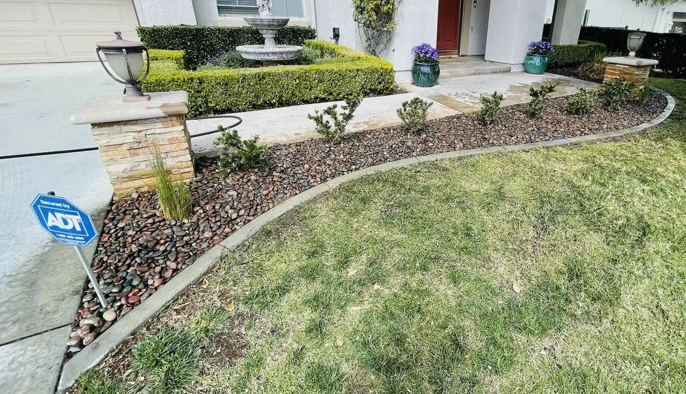 Local garden landscaping in Corona, CA - Valencias Landcape Tree